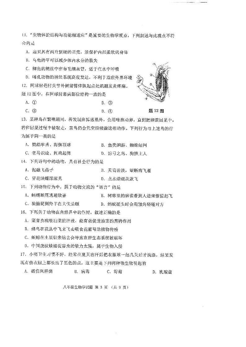 广东省佛山市禅城区2023-2024学年八年级上学期期末考试生物学试卷03