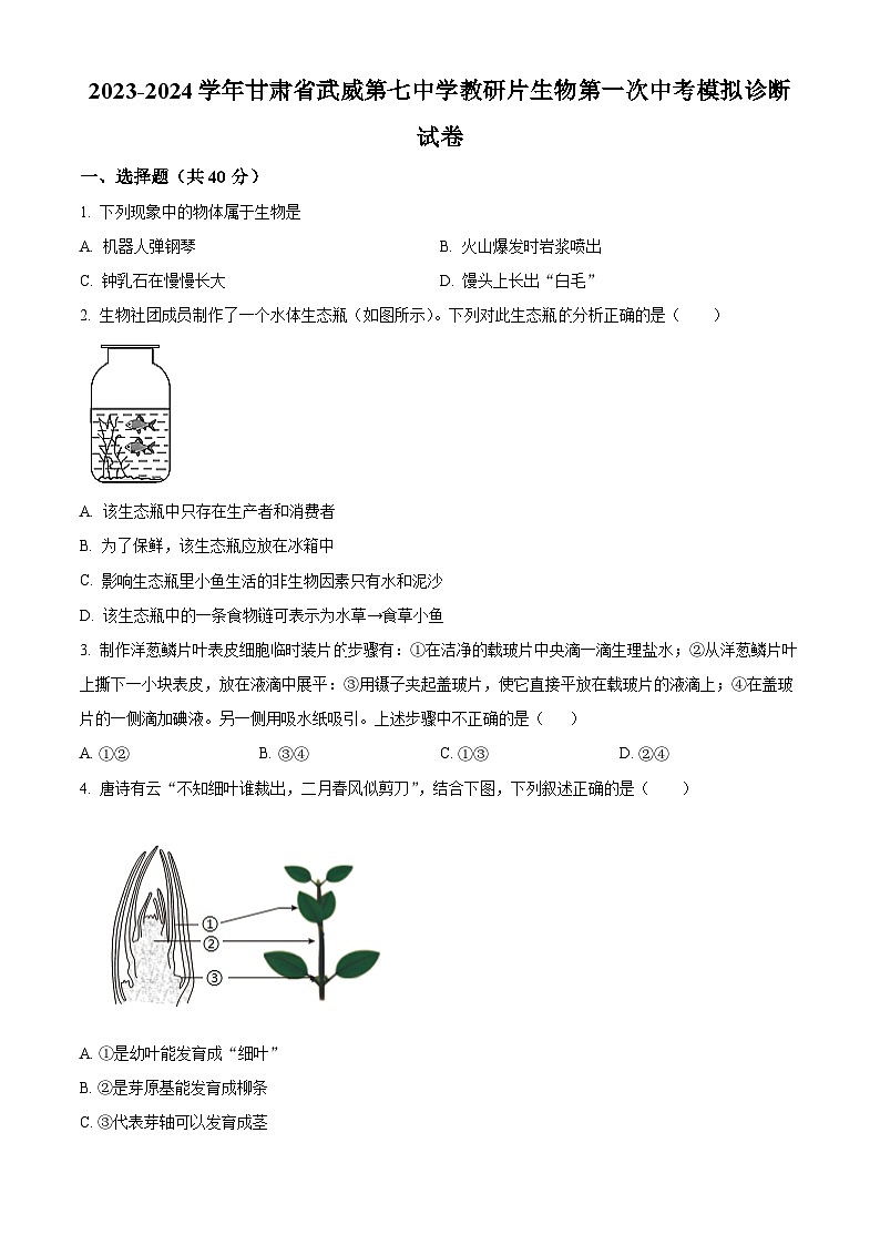2024年甘肃省武威市凉州区武威第七中学教研联片中考一模生物试题（原卷版+解析版）01