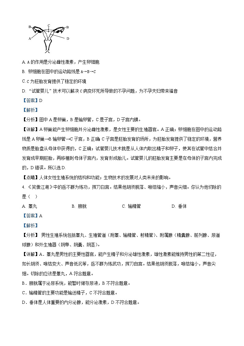 重庆市黔江区黔江实验中学校2023-2024学年七年级下学期3月月考生物试题（解析版）第2页