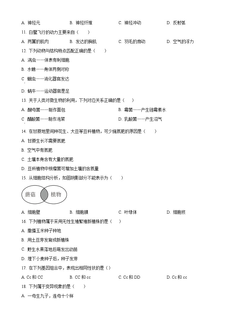 2024年吉林省吉林市永吉县中考一模生物试题（原卷版+解析版）02