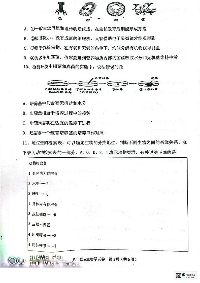 辽宁省丹东市东港市2023-2024学年八年级上学期期末生物学试题第3页