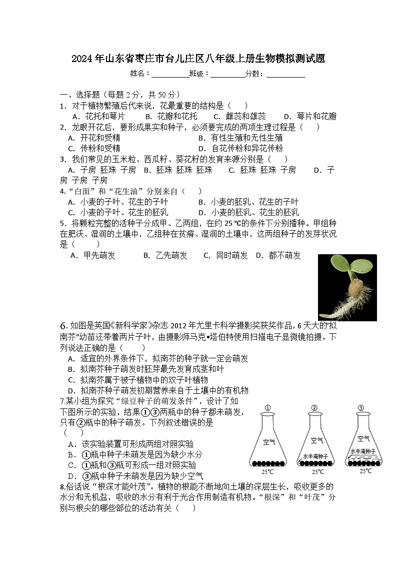 山东省枣庄市台儿庄区2023--2024学年八年级上学期生物期末模拟测试题（含答案）01