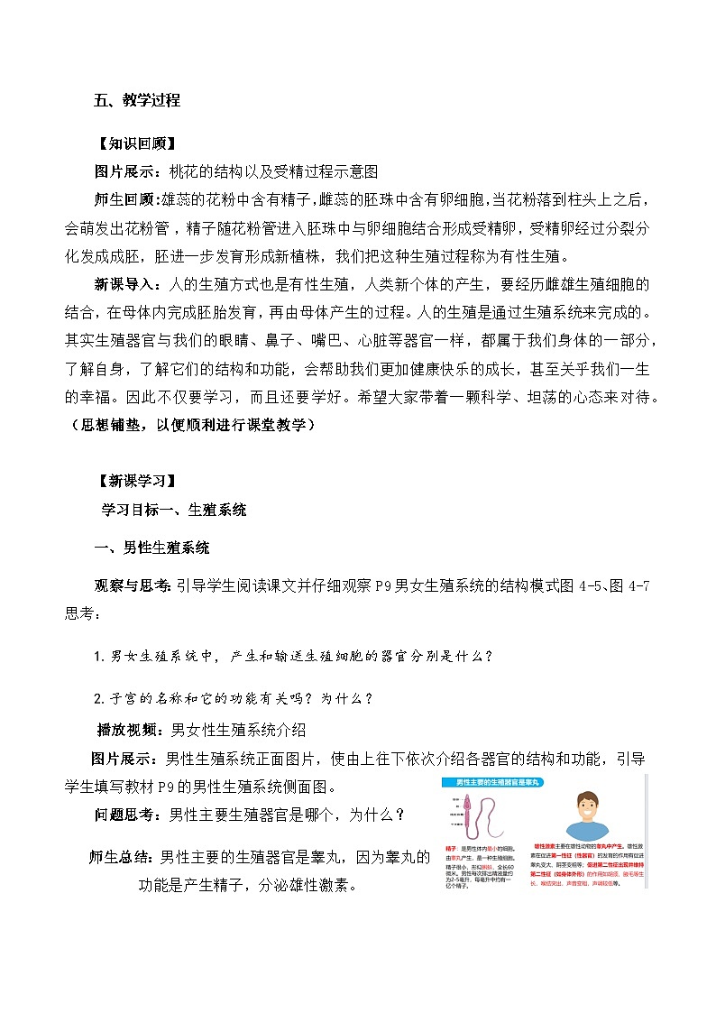 4.1.2 人的生殖-七年级生物下册 教学课件+教学设计+练习（人教版）02