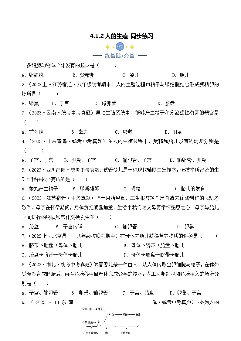 4.1.2 人的生殖-七年级生物下册 教学课件+教学设计+练习（人教版）01