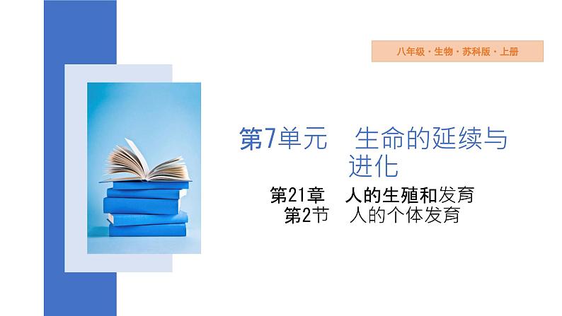 7.21.2+人的个体发育+课件-2023-2024学年苏科版生物八年级上册01