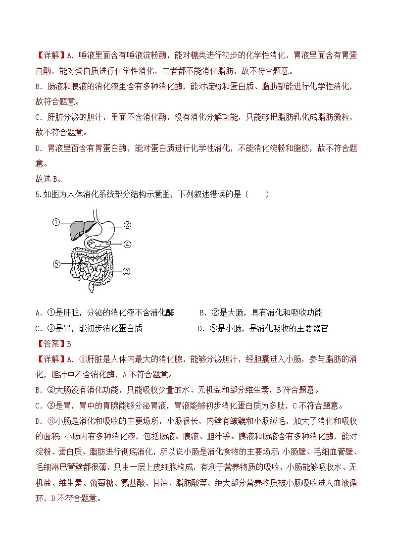 4.2.2 消化和吸收-七年级生物下册 教学课件+教学设计+练习（人教版）02