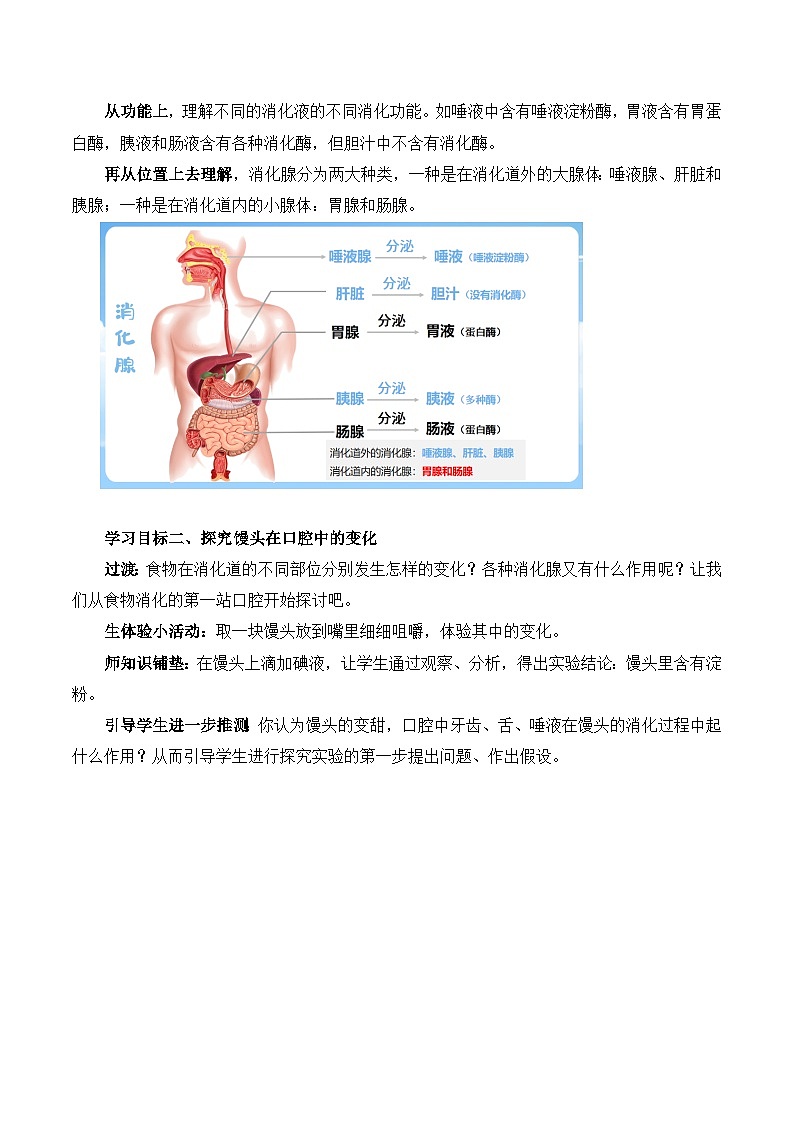 4.2.2 消化和吸收-七年级生物下册 教学课件+教学设计+练习（人教版）03