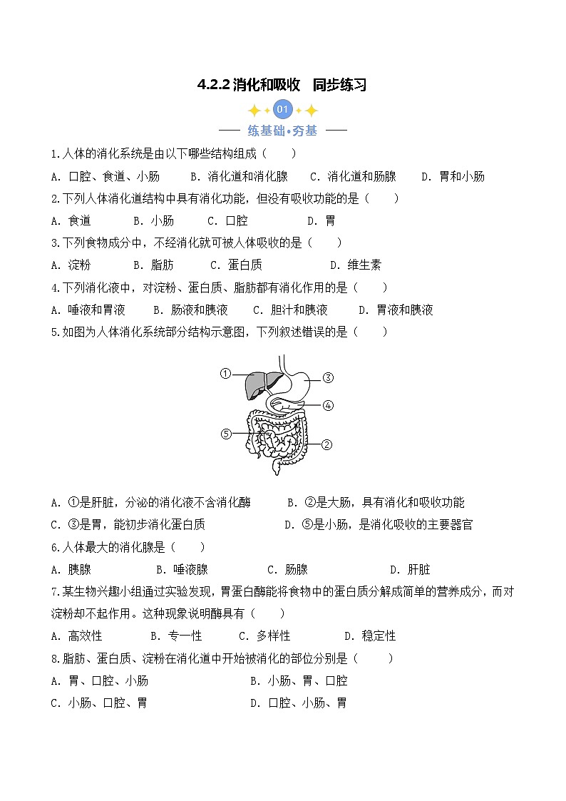 4.2.2 消化和吸收-七年级生物下册 教学课件+教学设计+练习（人教版）01