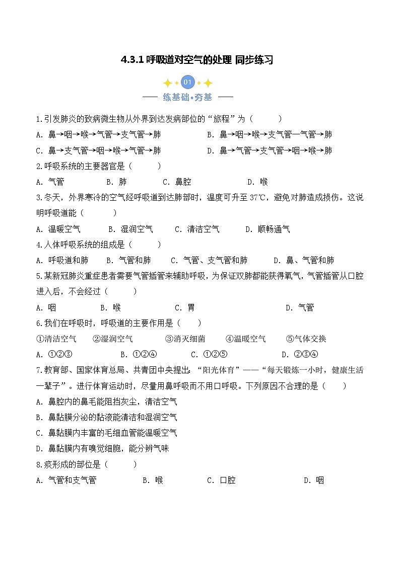 4.3.1 呼吸道对空气的处理-七年级生物下册 教学课件+教学设计+练习（人教版）01
