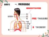 4.3.1 呼吸道对空气的处理-七年级生物下册 教学课件+教学设计+练习（人教版）