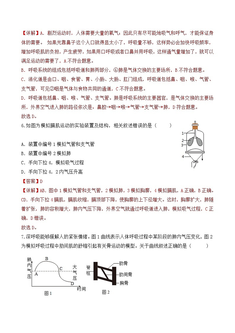 4.3.2 发生在肺内的气体交换（第1课时）-七年级生物下册 教学课件+教学设计+练习（人教版）03