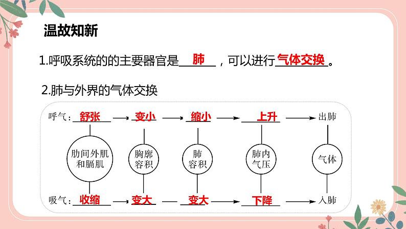 4.3.2 发生在肺内的气体交换（第2课时）-七年级生物下册 教学课件+教学设计+练习（人教版）03