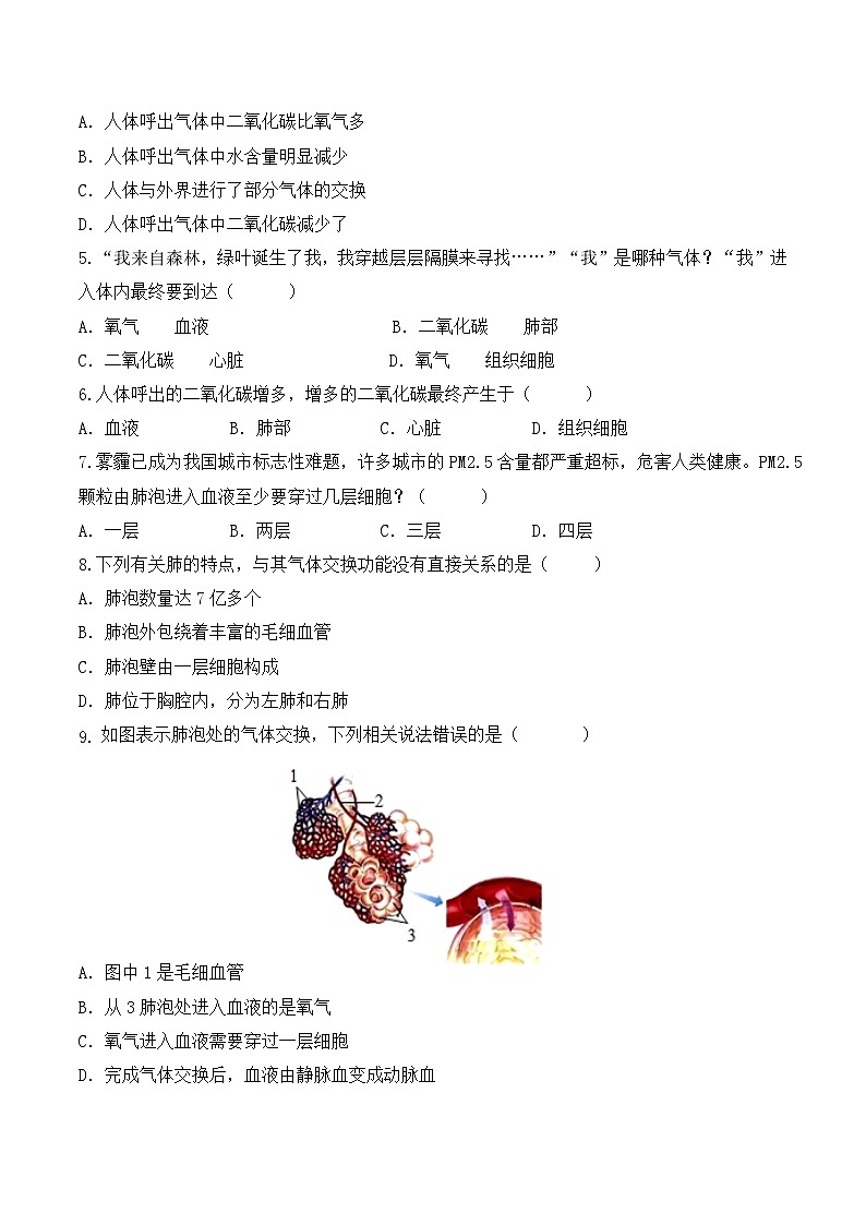 4.3.2 发生在肺内的气体交换（第2课时）-七年级生物下册 同步练习第2页
