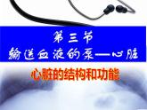 4.4.3输送血液的泵—心脏课件2023--2024学年人教版生物七年级下册
