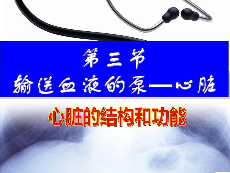 4.4.3输送血液的泵—心脏课件2023--2024学年人教版生物七年级下册第1页