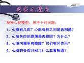 4.4.3输送血液的泵—心脏课件2023--2024学年人教版生物七年级下册