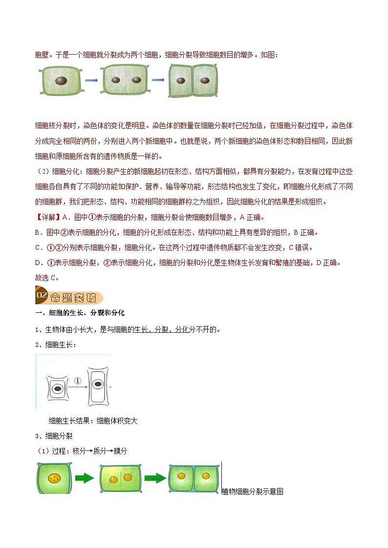 中考生物一轮复习真题探究与变式训练专题02 细胞怎样构成生物体（含解析）03