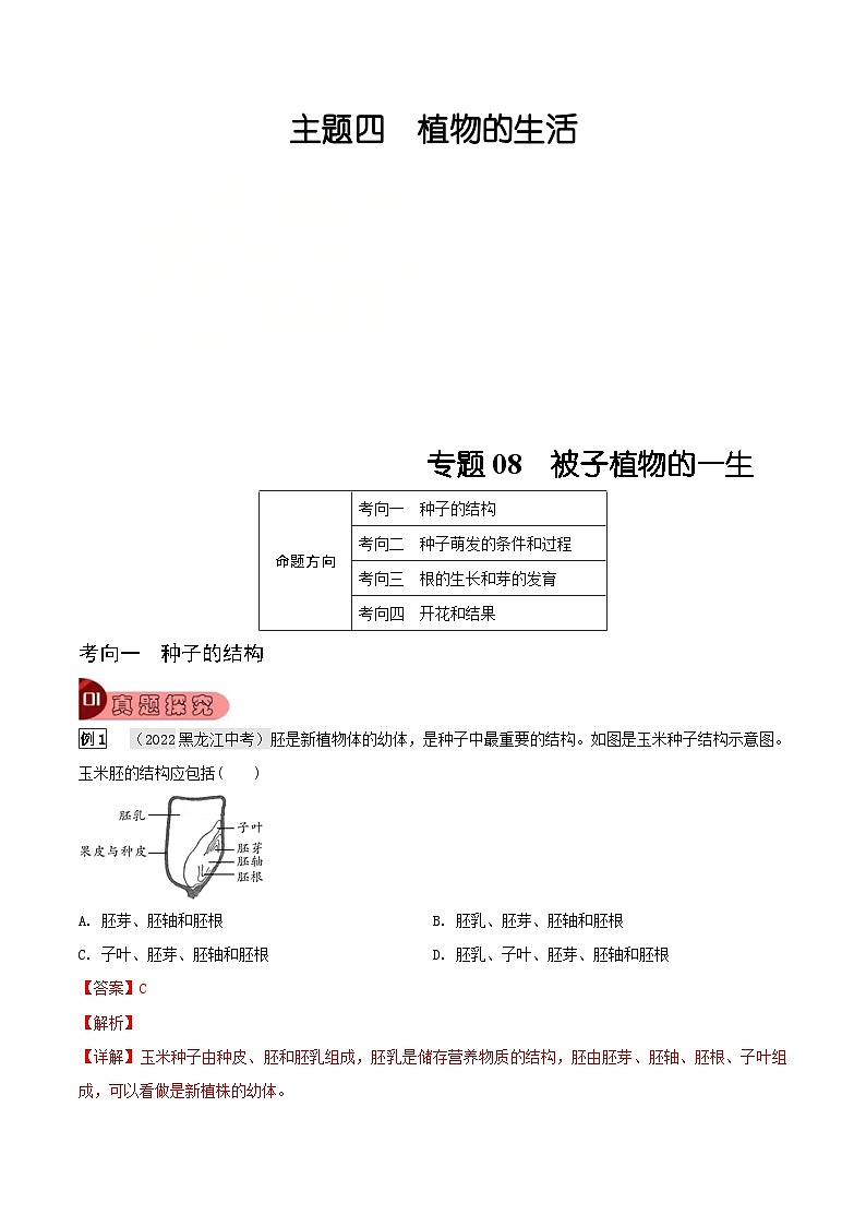 中考生物一轮复习真题探究与变式训练专题08 被子植物的一生（含解析）第1页