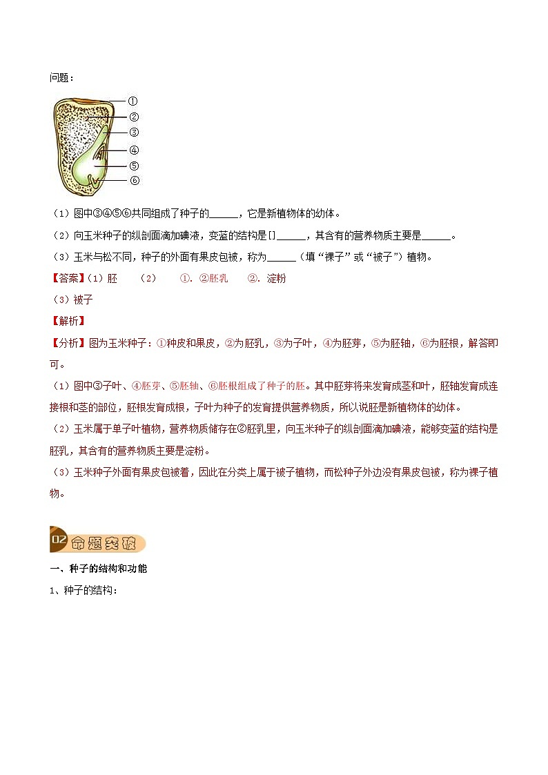 中考生物一轮复习真题探究与变式训练专题08 被子植物的一生（含解析）第3页