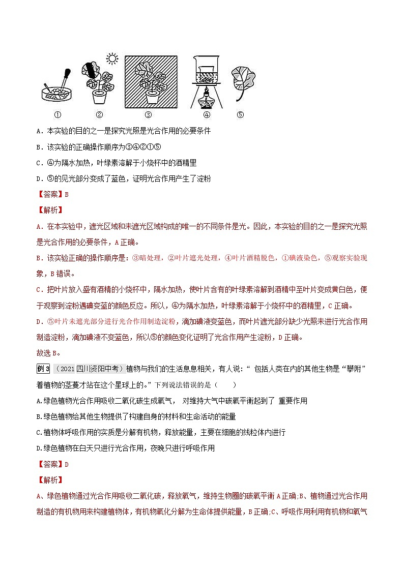 中考生物一轮复习真题探究与变式训练专题10 绿色植物与生物圈中的碳—氧平衡（含解析）02