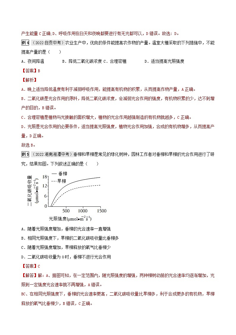 中考生物一轮复习真题探究与变式训练专题10 绿色植物与生物圈中的碳—氧平衡（含解析）03