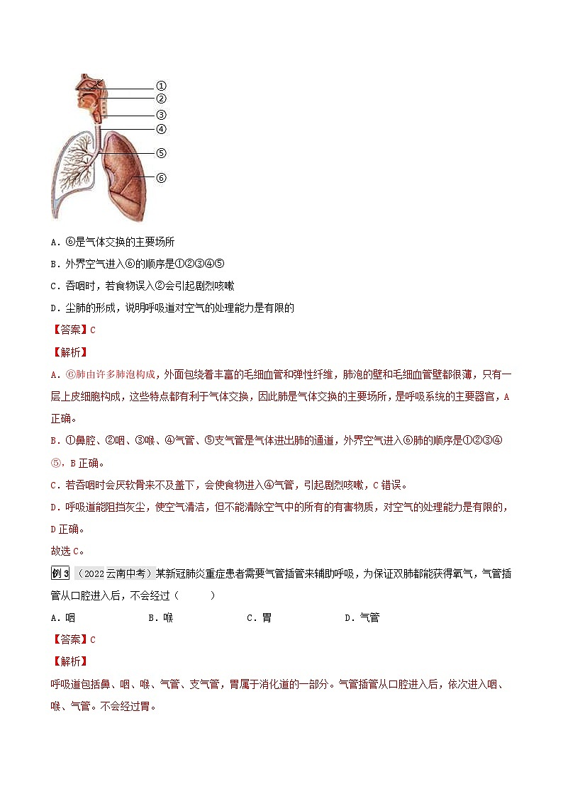 中考生物一轮复习真题探究与变式训练专题13 人体的呼吸（含解析）02
