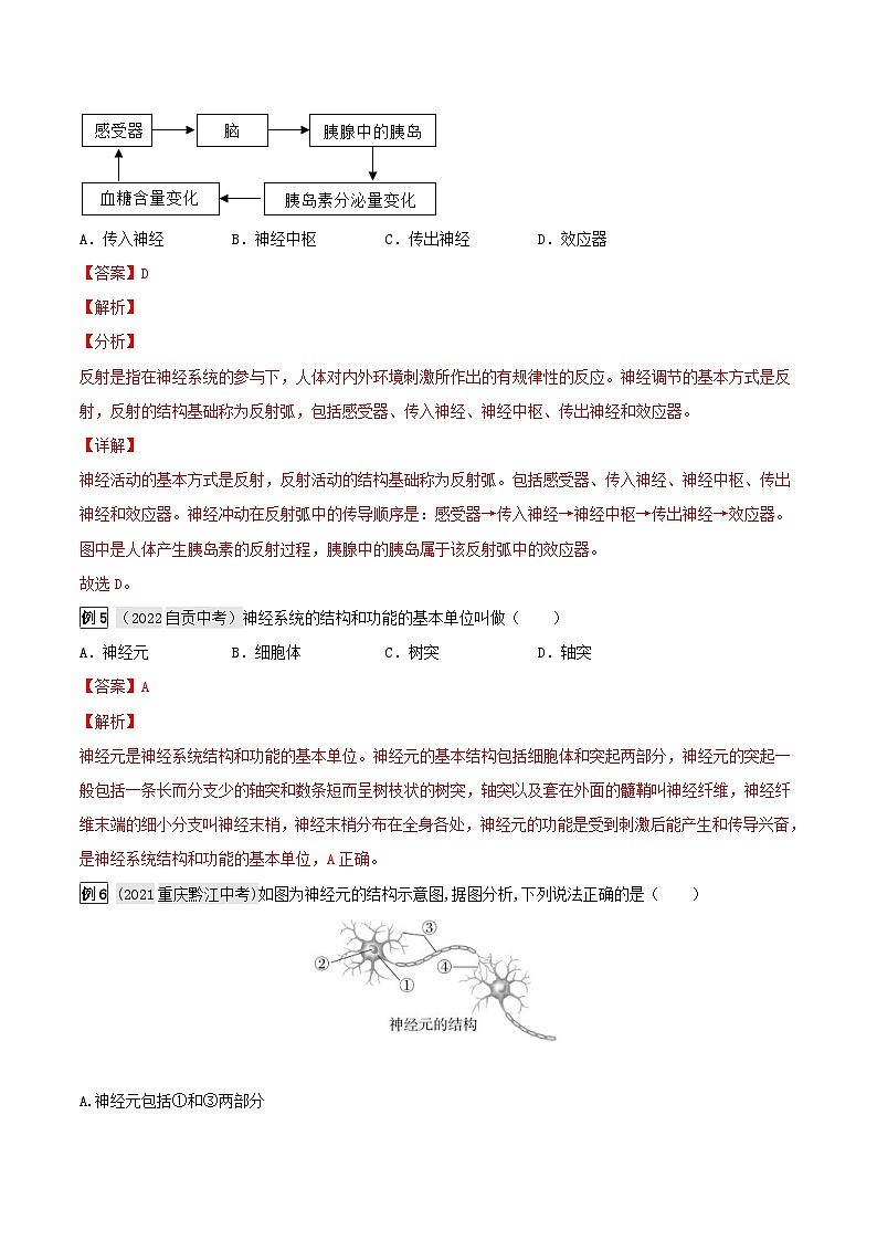 中考生物一轮复习真题探究与变式训练专题15 人体生命活动的调节（含解析）第3页