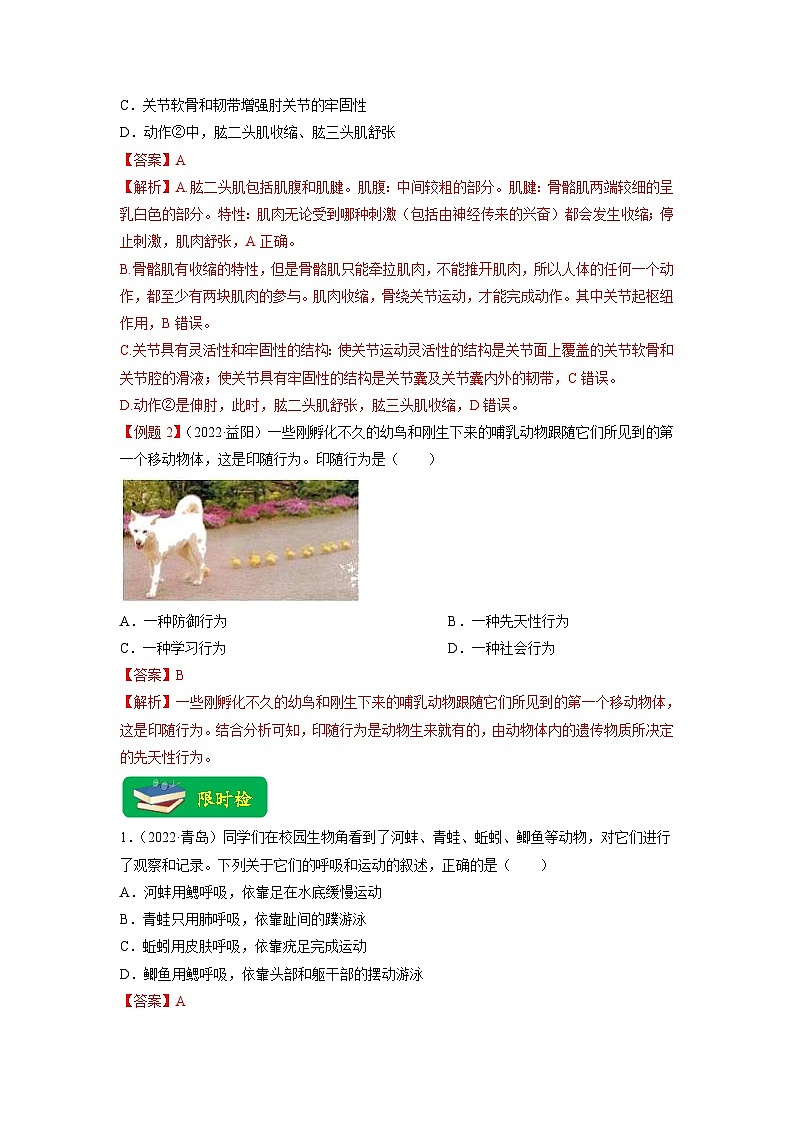 中考生物二轮复习重难点练习重难点06 动物的运动和行为 （含解析）第3页