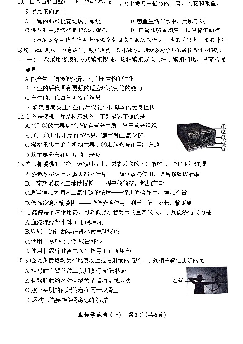 2024年山西省初中学业水平第一次模拟生物试题03
