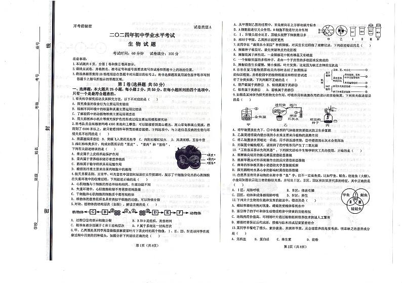 2024年山东省东营市城区中考一模生物试题01