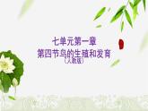 7.1.4鸟的生殖和发育课件2023--2024学年人教版生物八年级下册