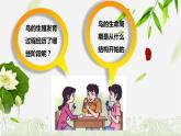 7.1.4鸟的生殖和发育课件2023--2024学年人教版生物八年级下册