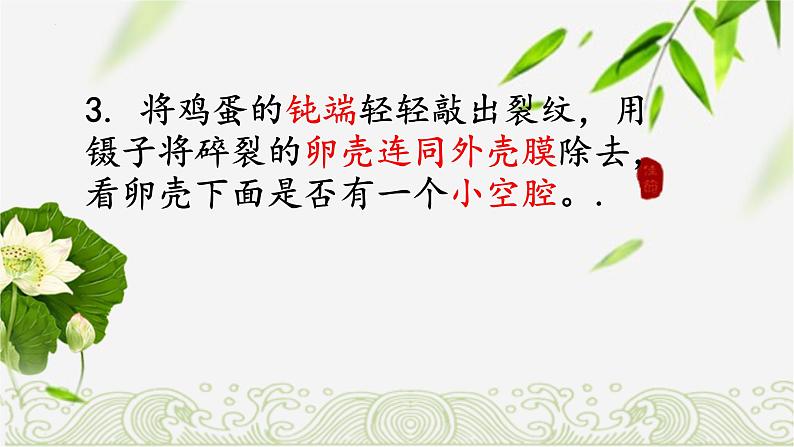 7.1.4鸟的生殖和发育课件2023--2024学年人教版生物八年级下册第5页