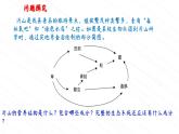 2024年济南版生物专题复习五+生态系统的营养结构和功能课件