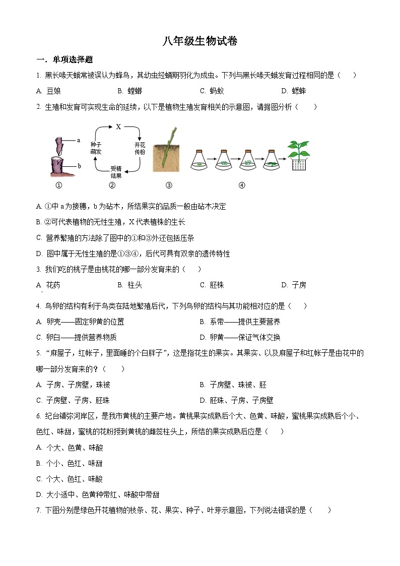 江苏省盐城市阜宁县阜实验初级中学2023-2024学年八年级下3月月考生物试题（原卷版）第1页
