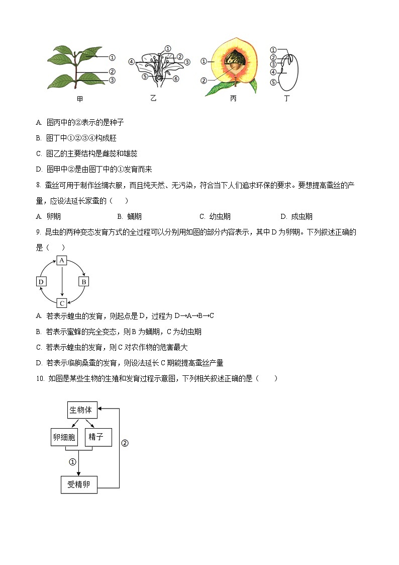 江苏省盐城市阜宁县阜实验初级中学2023-2024学年八年级下3月月考生物试题（原卷版）第2页