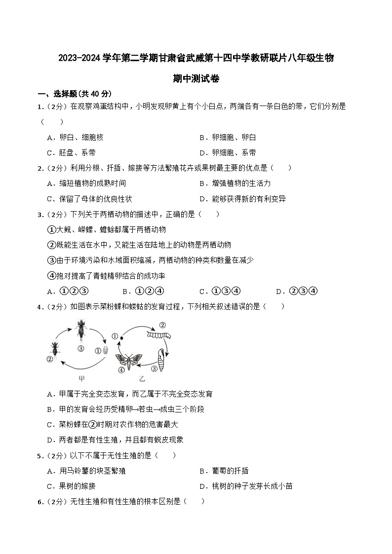甘肃省武威十四中教研联片2023-2024学年八年级下学期4月期中生物试题01