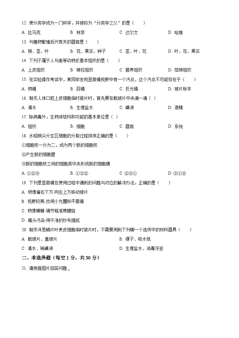 河南省驻马店市第二初级中学2023-2024学年七年级上学期期中生物试题（原卷版+解析版）02