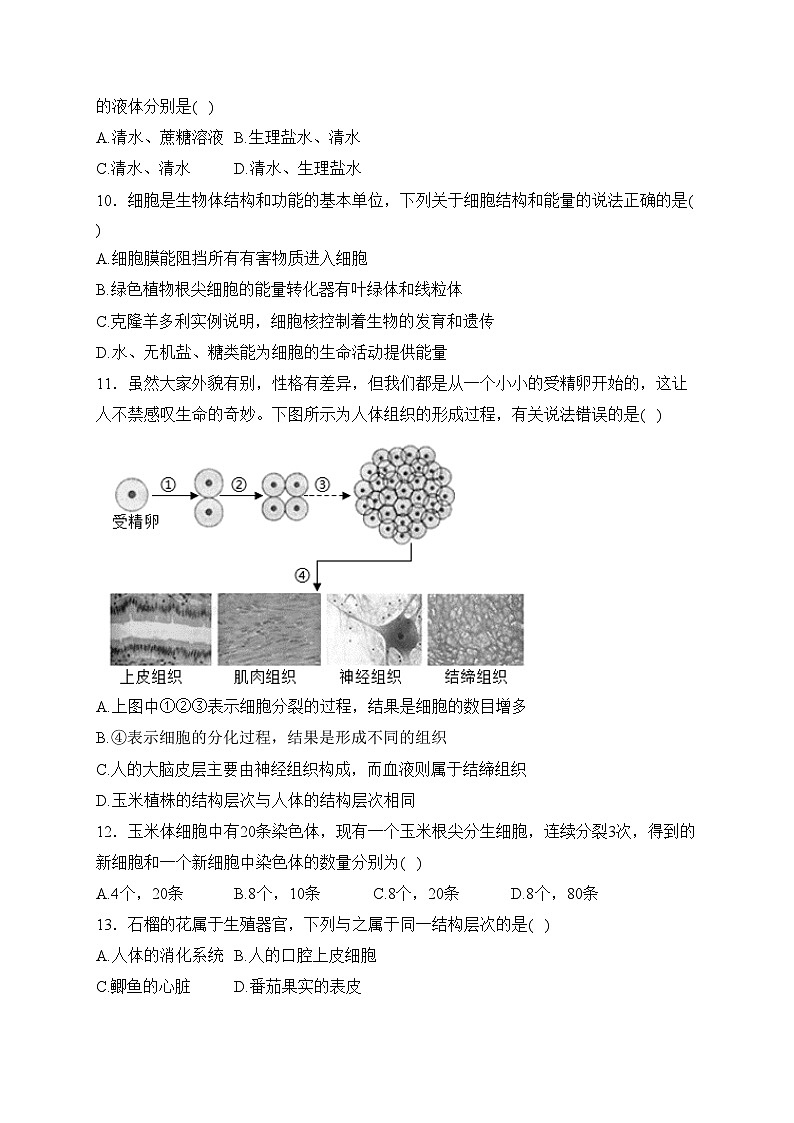 广东省2024年中考一模生物试卷(含答案)第3页
