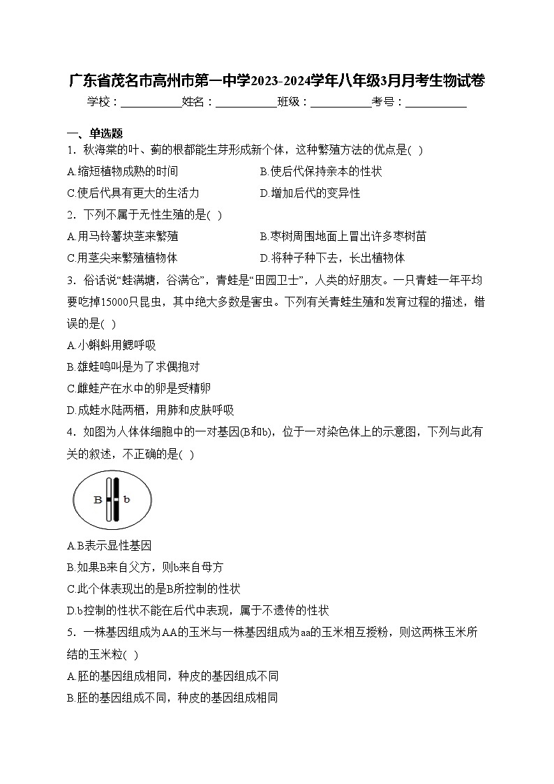 广东省茂名市高州市第一中学2023-2024学年八年级3月月考生物试卷(含答案)第1页