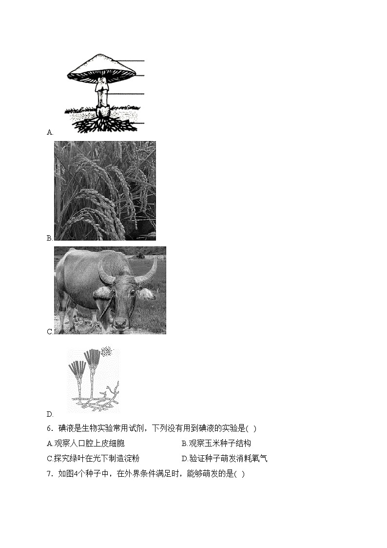 广东省茂名市高州市九校联考2022-2023学年八年级下学期5月月考生物试卷(含答案)第2页