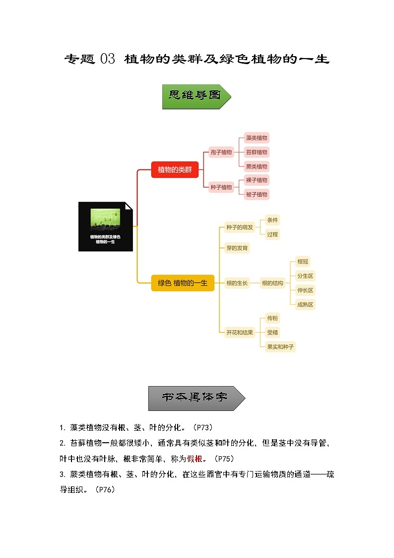 中考生物一轮复习核心考点梳理与必背专题03 植物的类群及绿色植物的一生01