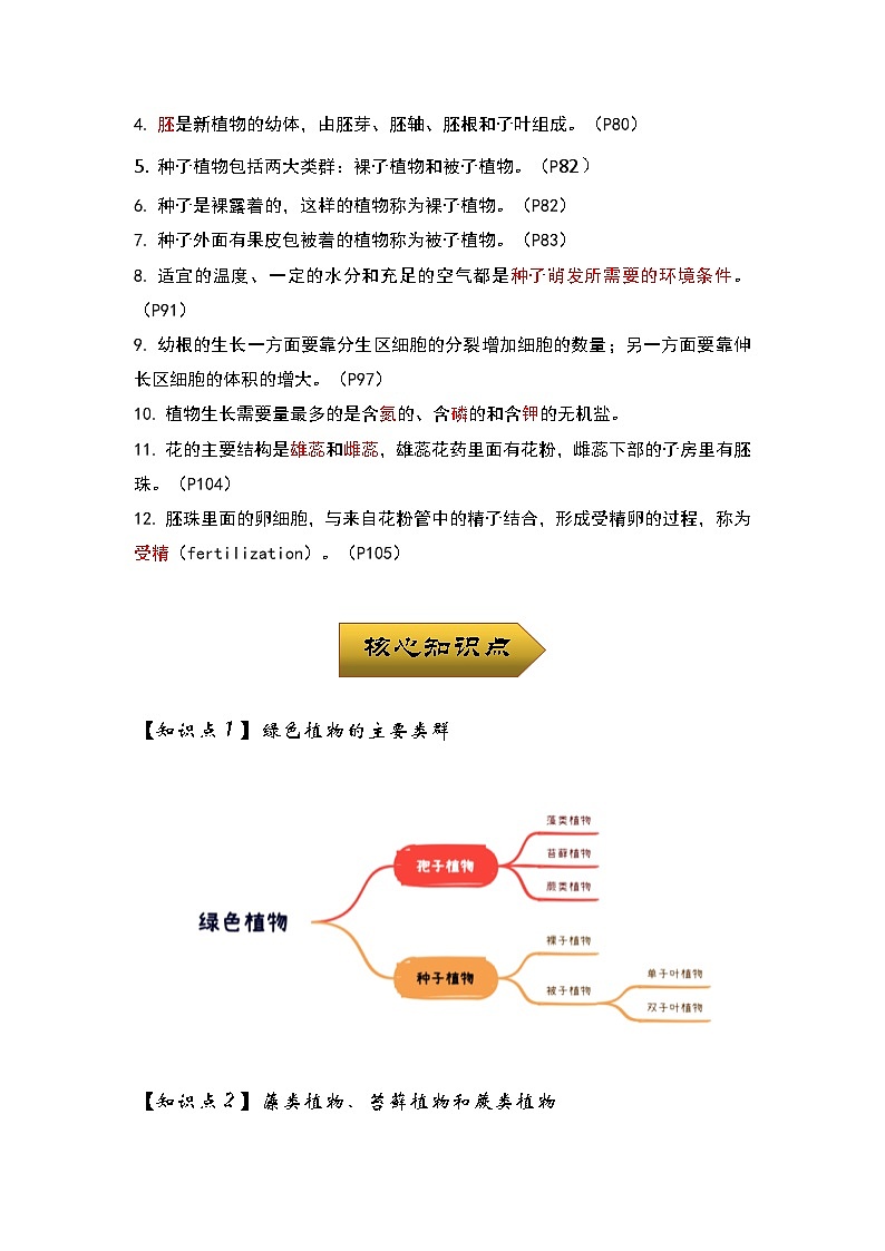 中考生物一轮复习核心考点梳理与必背专题03 植物的类群及绿色植物的一生02