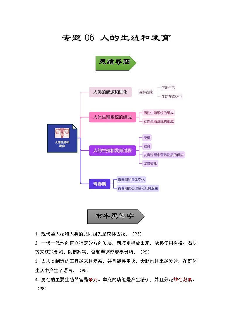 中考生物一轮复习核心考点梳理与必背专题06 人的生殖和发育01