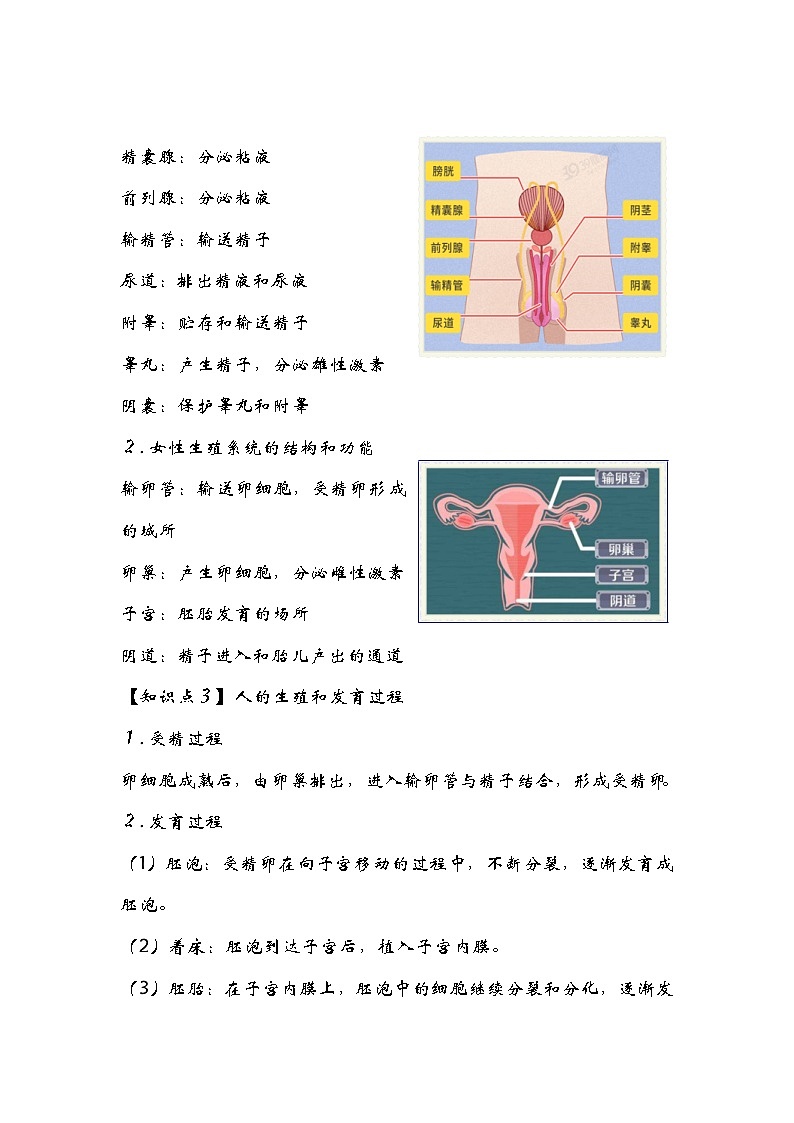 中考生物一轮复习核心考点梳理与必背专题06 人的生殖和发育03