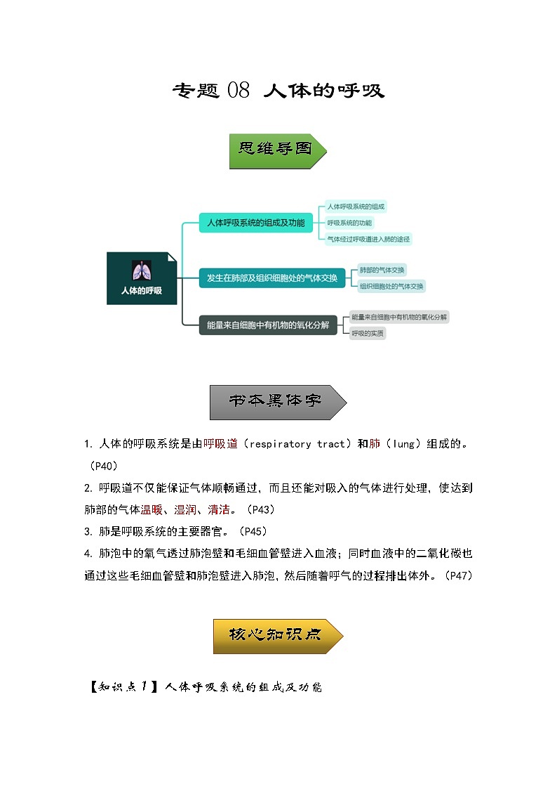 中考生物一轮复习核心考点梳理与必背专题08 人体的呼吸01