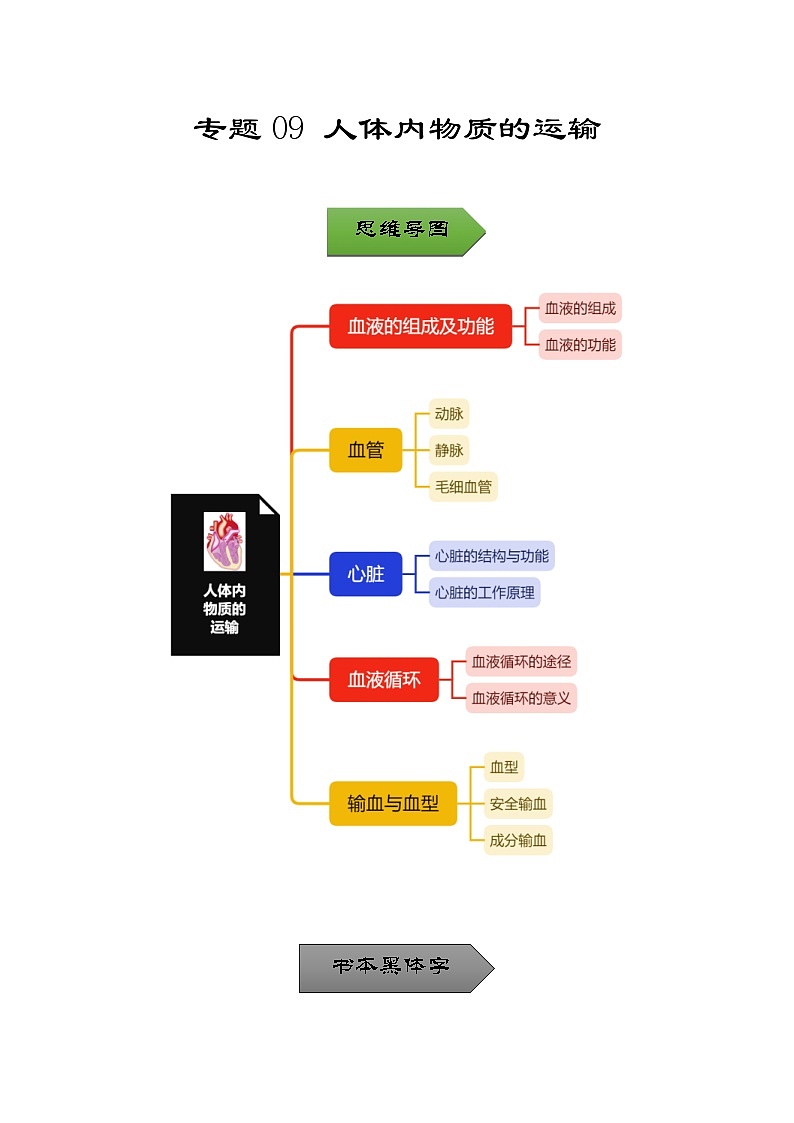 中考生物一轮复习核心考点梳理与必背专题09 人体内物质的运输01