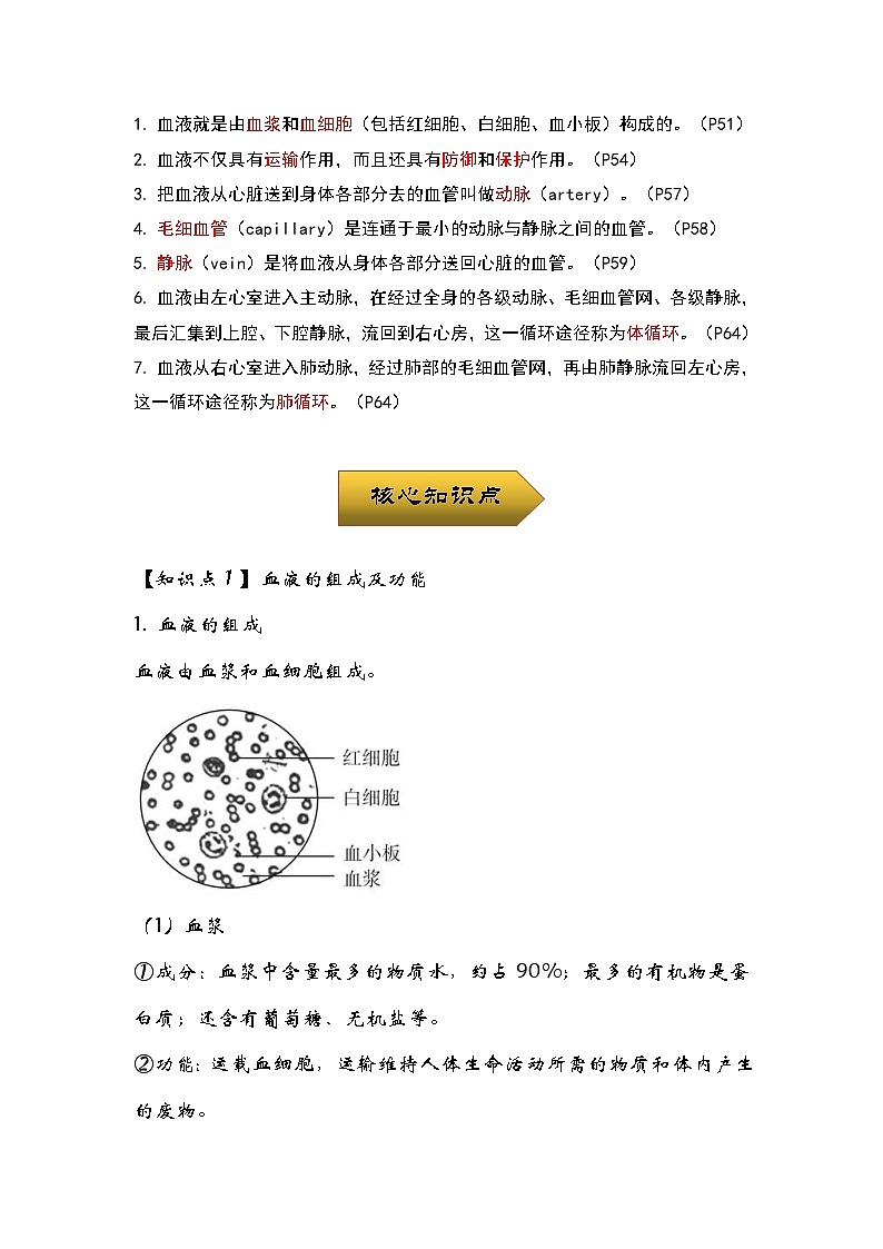 中考生物一轮复习核心考点梳理与必背专题09 人体内物质的运输02