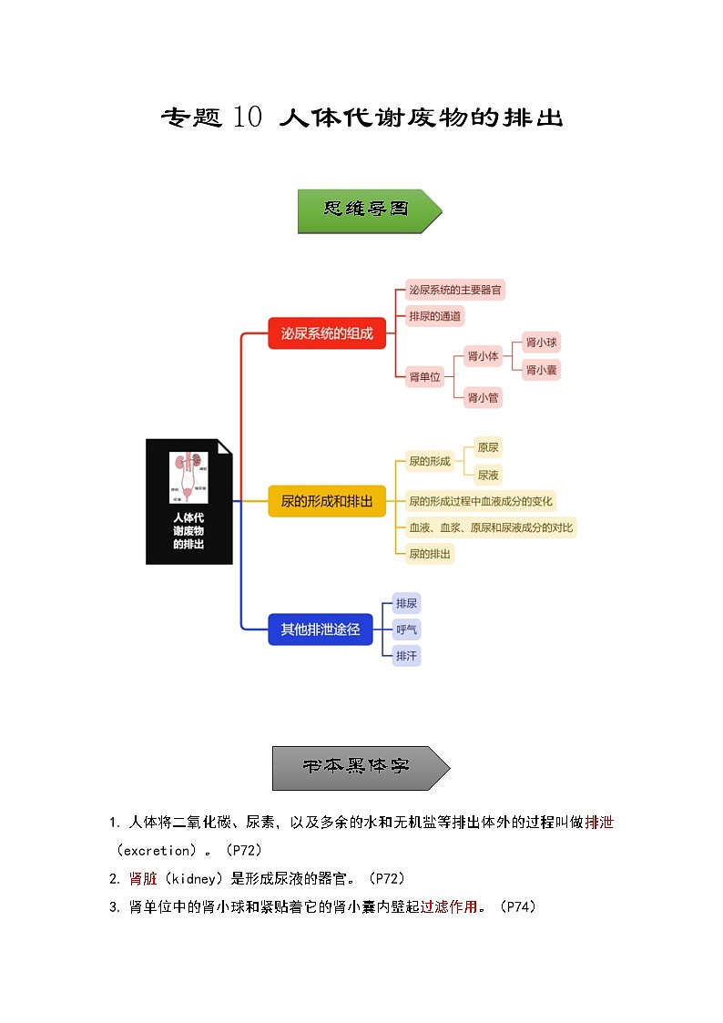 中考生物一轮复习核心考点梳理与必背专题10 人体代谢废物的排出第1页