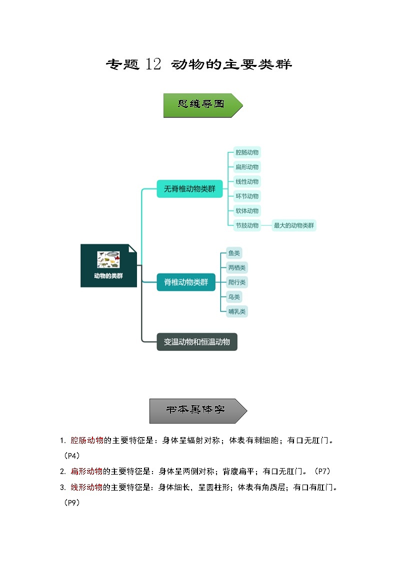 中考生物一轮复习核心考点梳理与必背专题12 动物的主要类群01